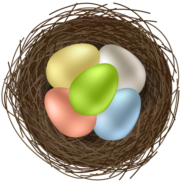 Detail Eier Im Vogelnest Nomer 4