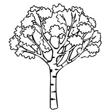 Detail Kahler Baum Malvorlage Nomer 11
