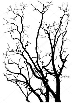 Detail Kahler Baum Malvorlage Nomer 17