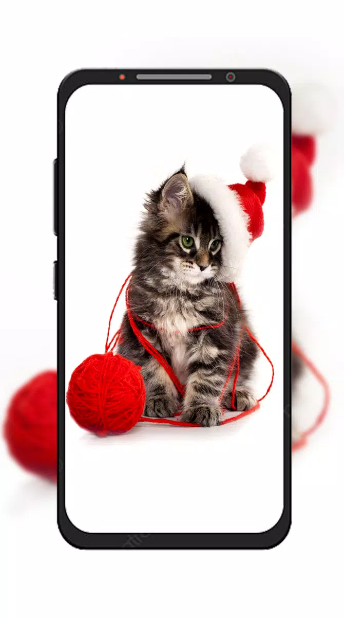 Detail Katzen Plakat Nomer 27