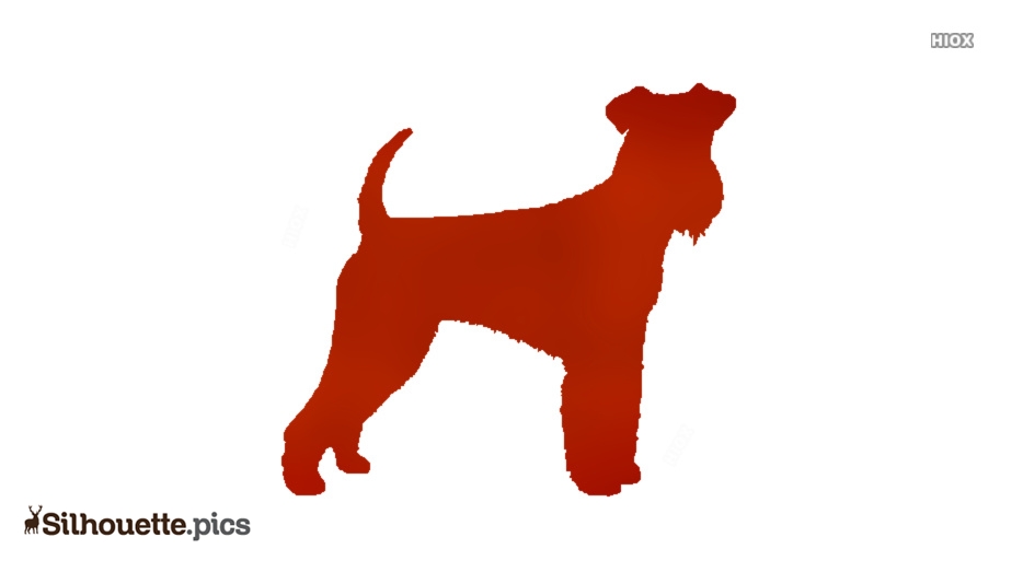 Detail Mini Irish Terrier Nomer 8