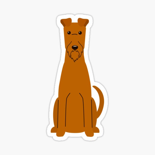 Detail Mini Irish Terrier Nomer 4