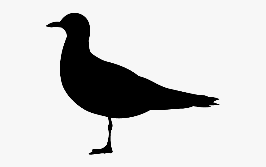 Detail Piktogramm Vogel Nomer 2