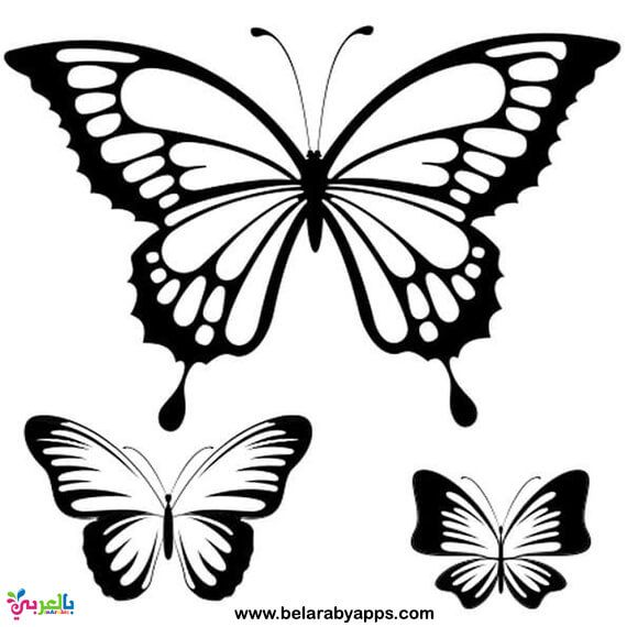 Detail Vorlagen Schmetterling Tattoo Nomer 11