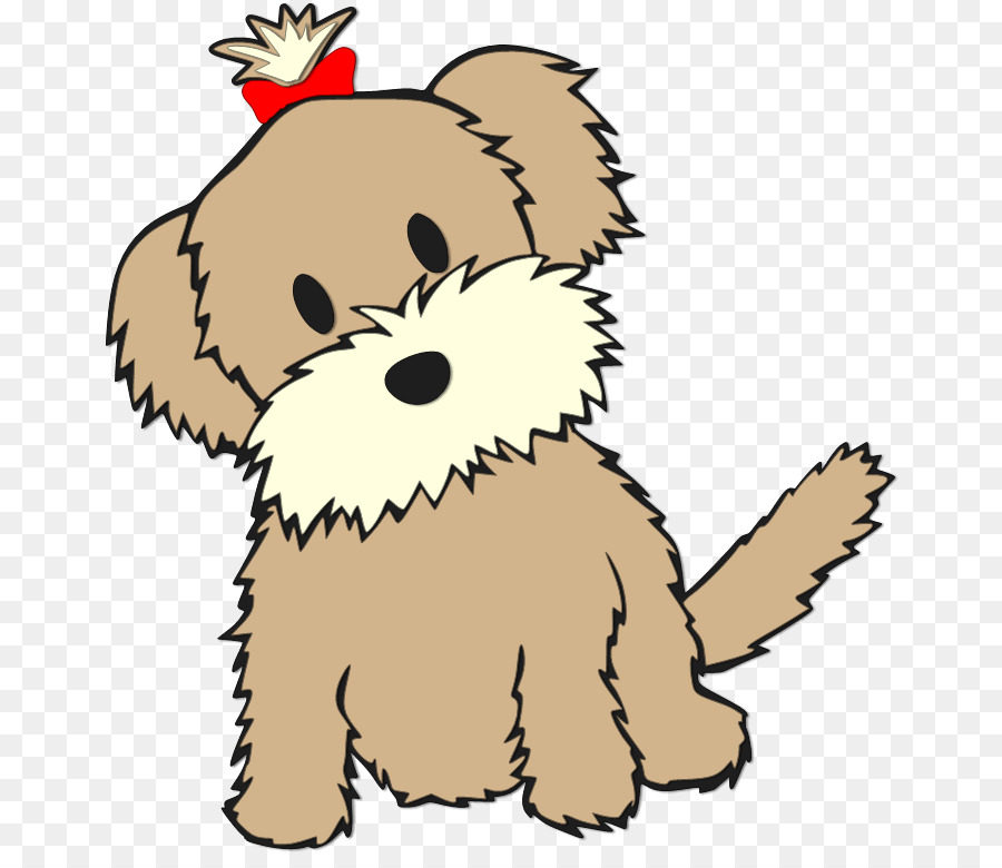 Detail Yorkshire Shih Tzu Nomer 10
