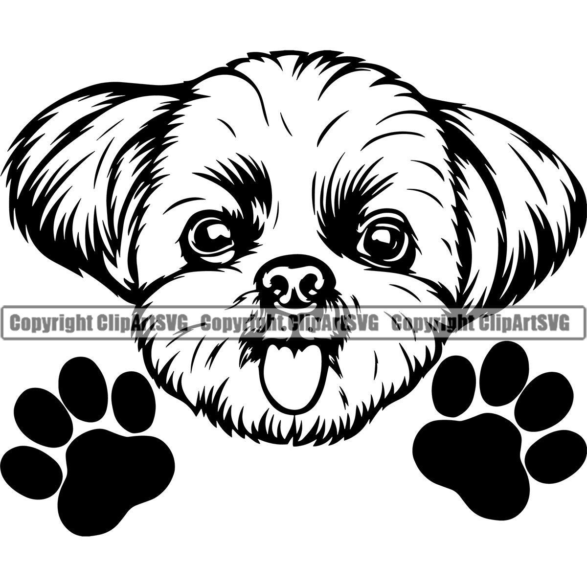 Detail Yorkshire Shih Tzu Nomer 11