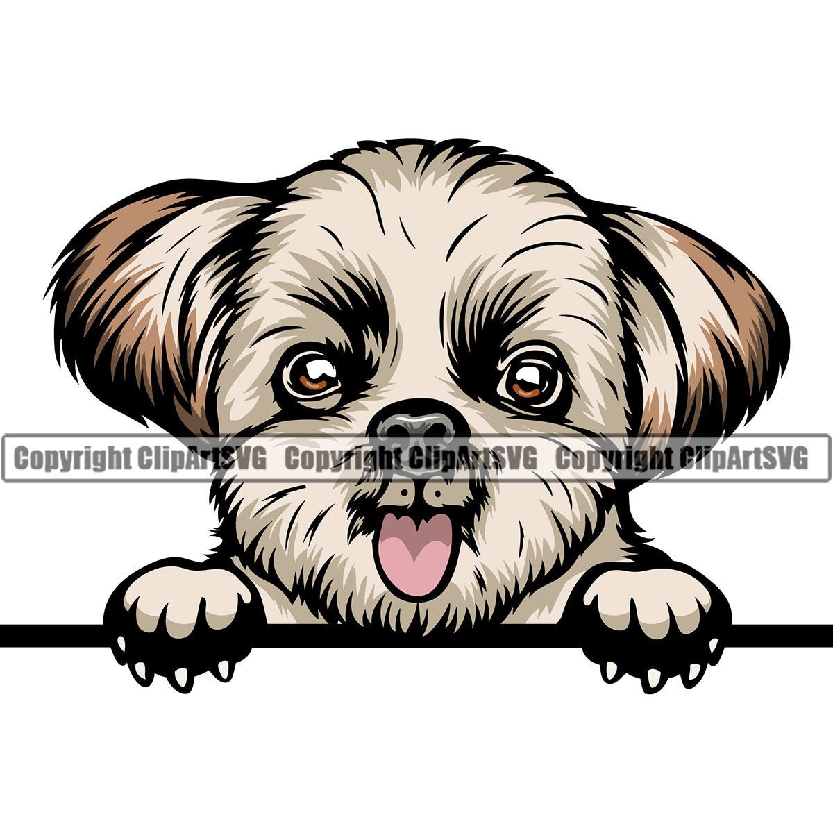 Detail Yorkshire Shih Tzu Nomer 12