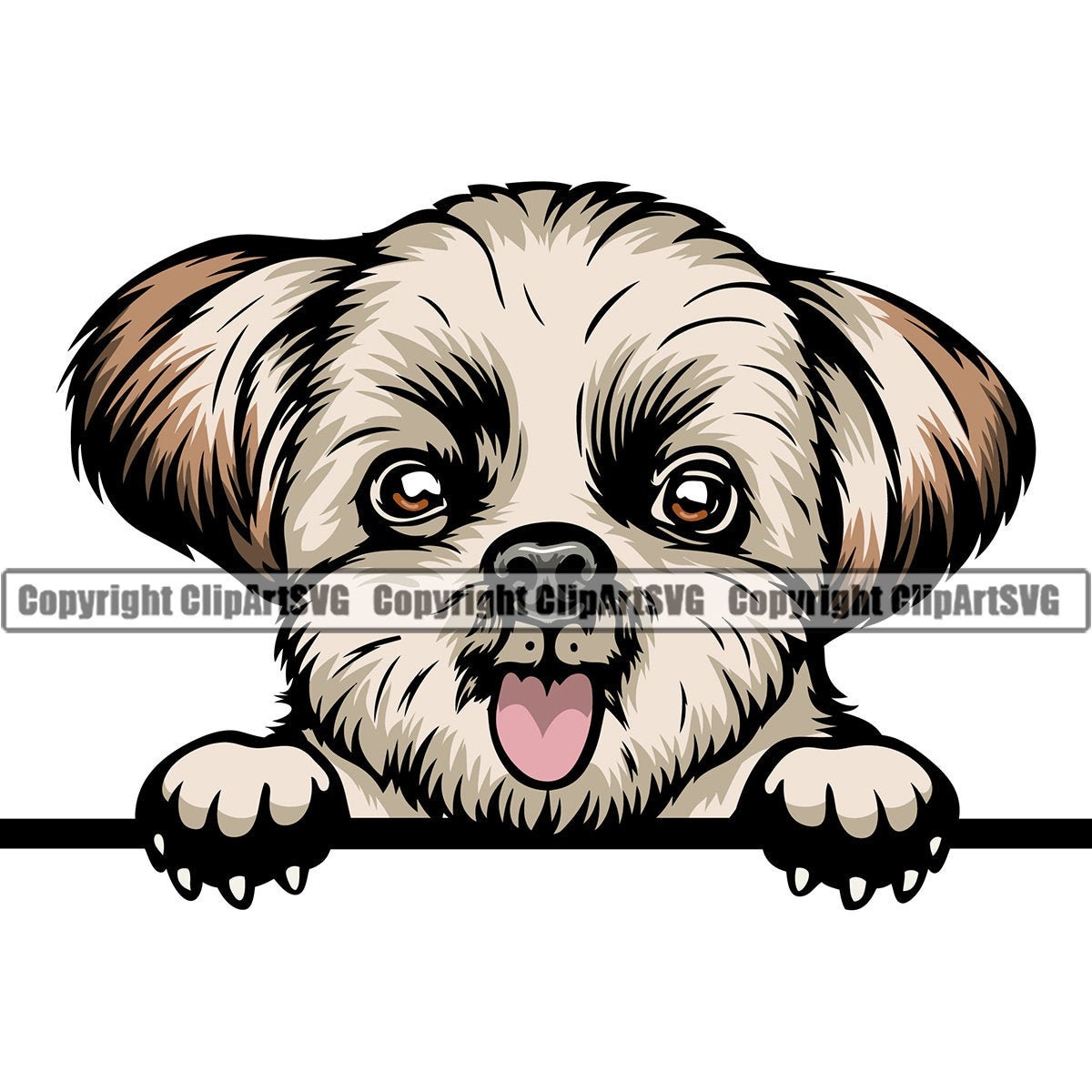 Detail Yorkshire Shih Tzu Nomer 12