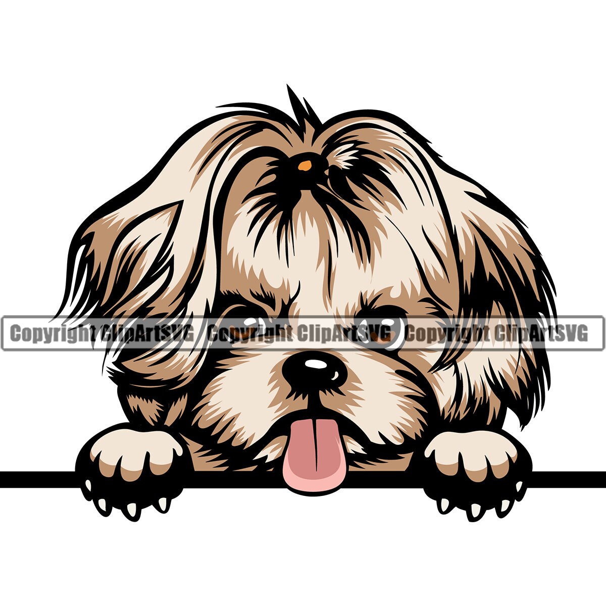 Detail Yorkshire Shih Tzu Nomer 2