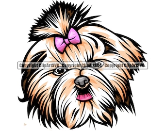 Detail Yorkshire Shih Tzu Nomer 19