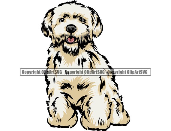 Detail Yorkshire Shih Tzu Nomer 28