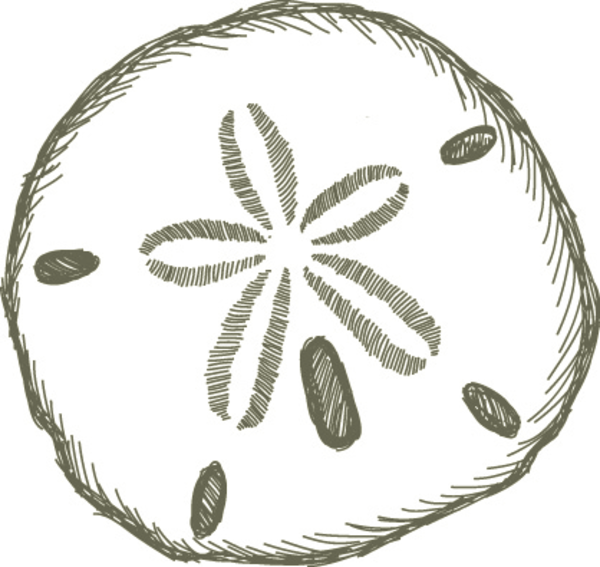 Detail Sand Dollar Clip Art Free Nomer 19