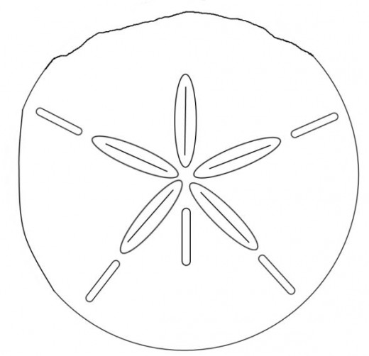 Detail Sand Dollar Clip Art Free Nomer 48