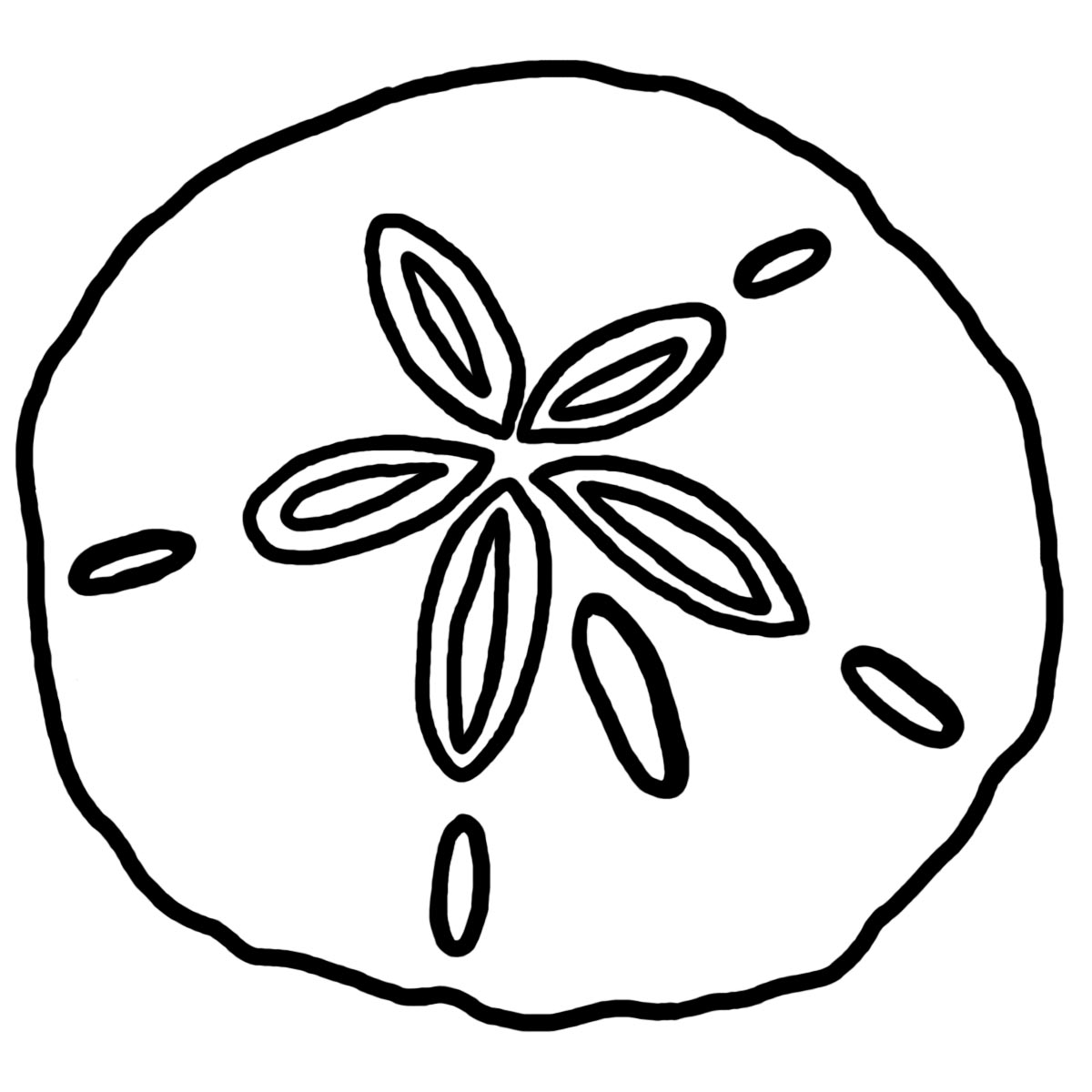 Detail Sand Dollar Clip Art Free Nomer 7