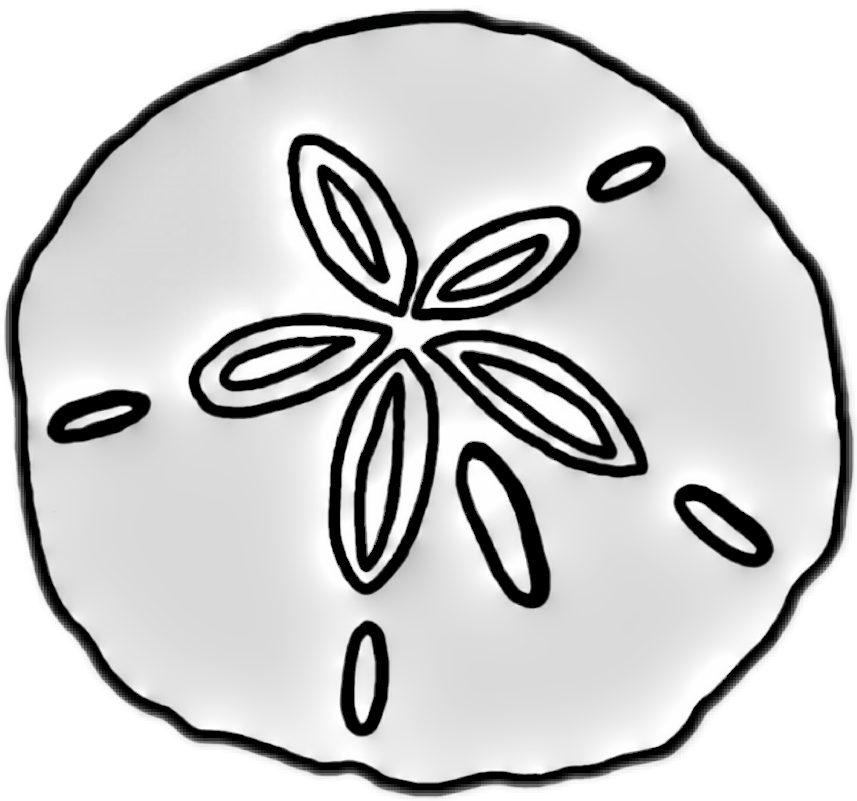 Detail Sand Dollar Clipart Black And White Nomer 8