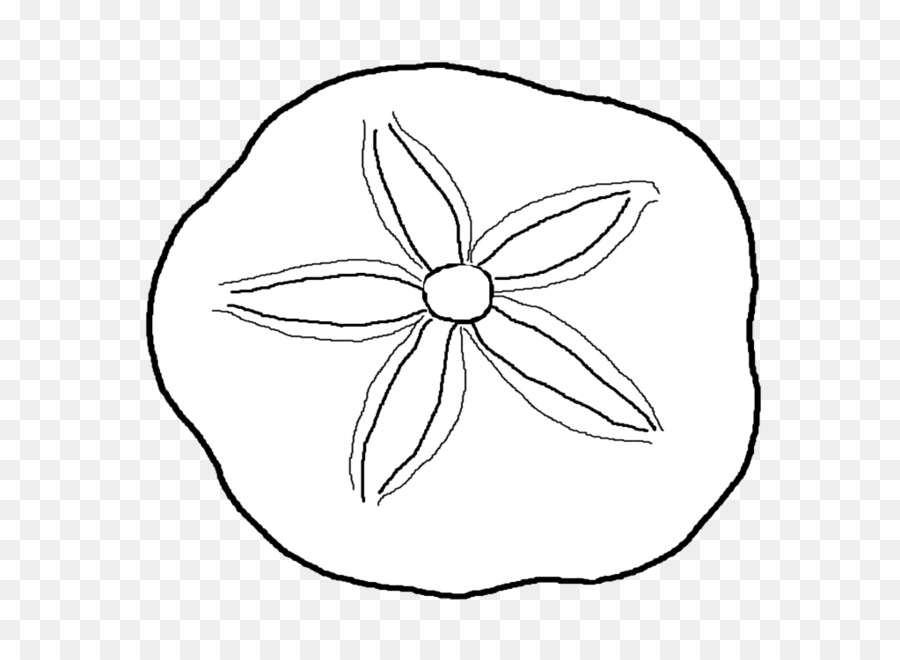 Detail Sand Dollar Clipart Black And White Nomer 13