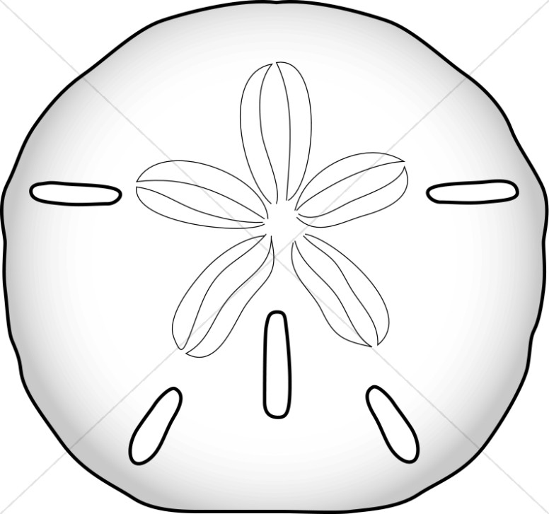 Detail Sand Dollar Clipart Free Nomer 31