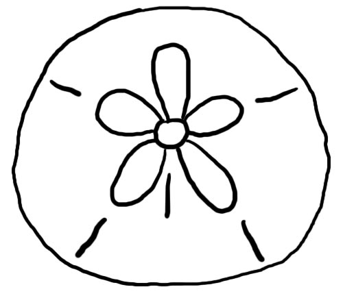 Detail Sand Dollar Clipart Free Nomer 43