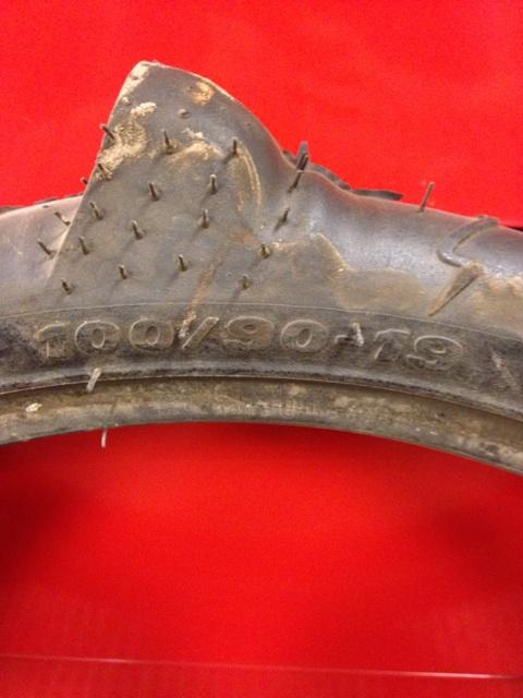 Detail Sand Snake Paddle Tires Nomer 41