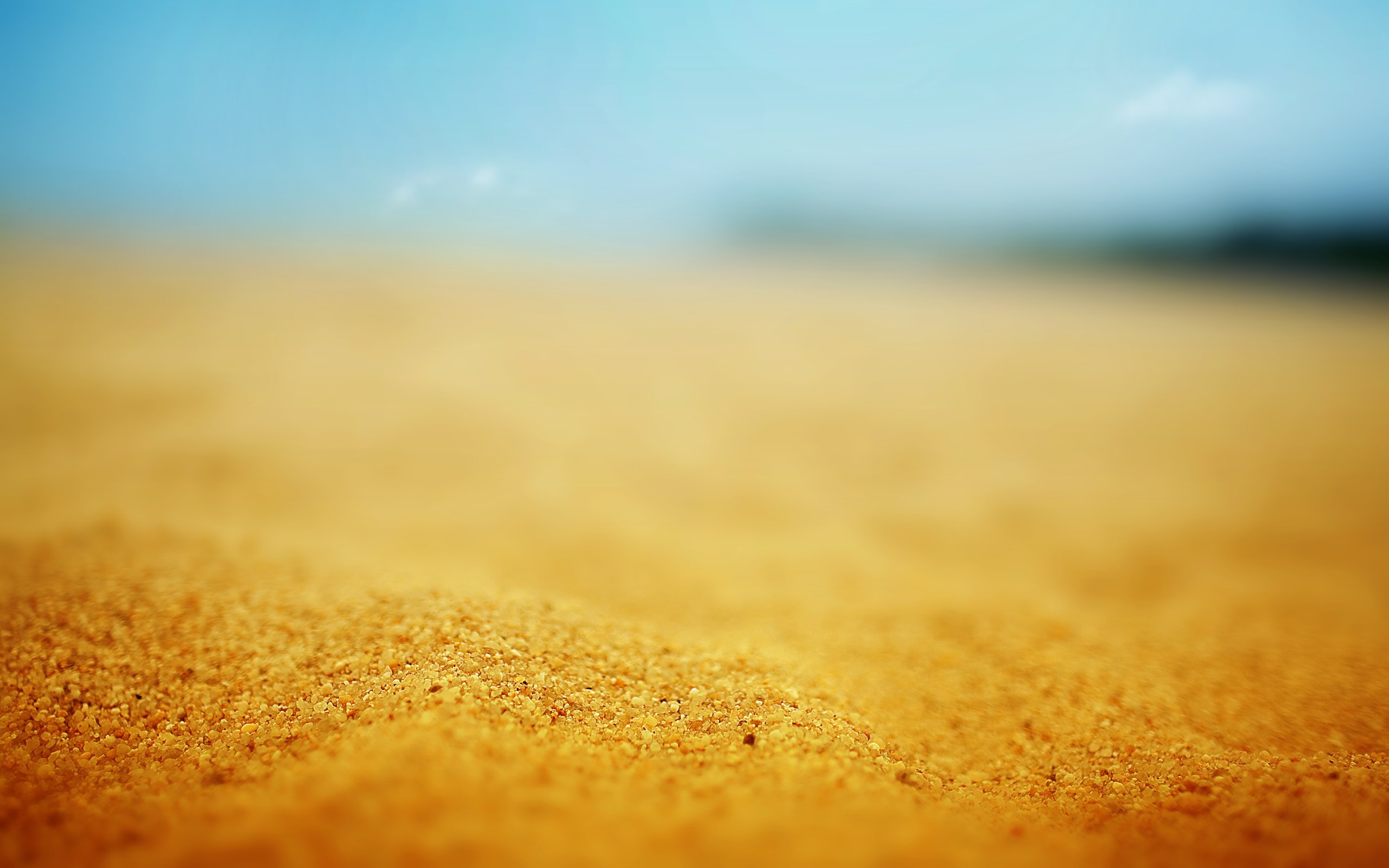 Detail Sand Wallpaper Hd Nomer 34