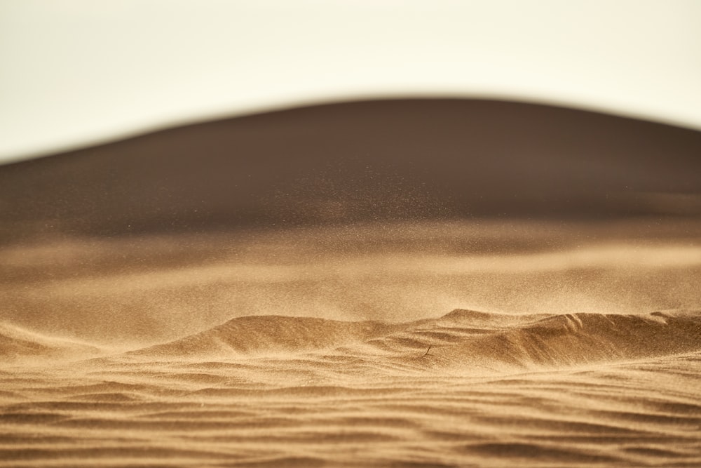 Detail Sand Wallpaper Hd Nomer 8