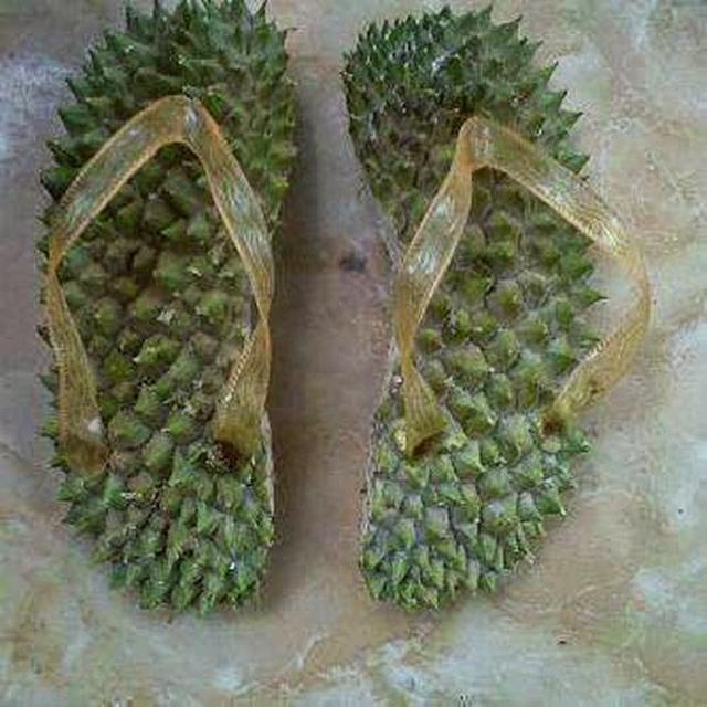 Detail Sandal Dari Kulit Durian Nomer 2