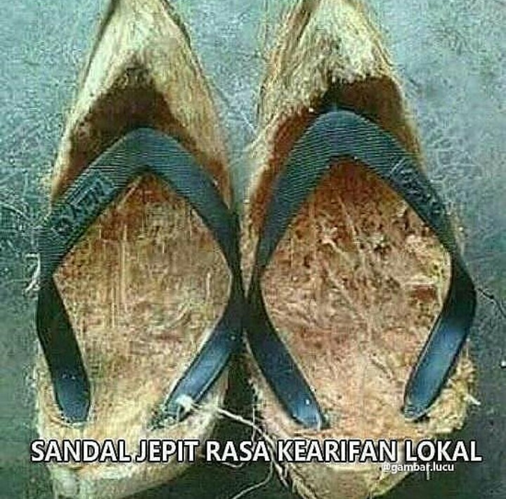 Detail Sandal Dari Kulit Durian Nomer 21