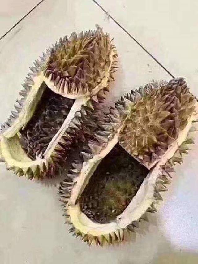 Detail Sandal Dari Kulit Durian Nomer 7