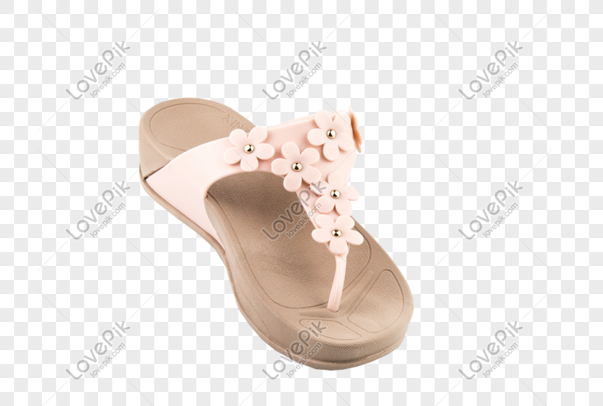 Detail Sandal Wanita Png Nomer 9
