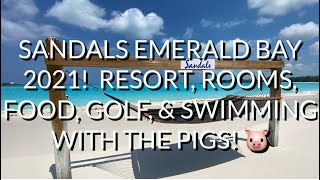 Detail Sandals Emerald Bay Swimming Pigs Nomer 56