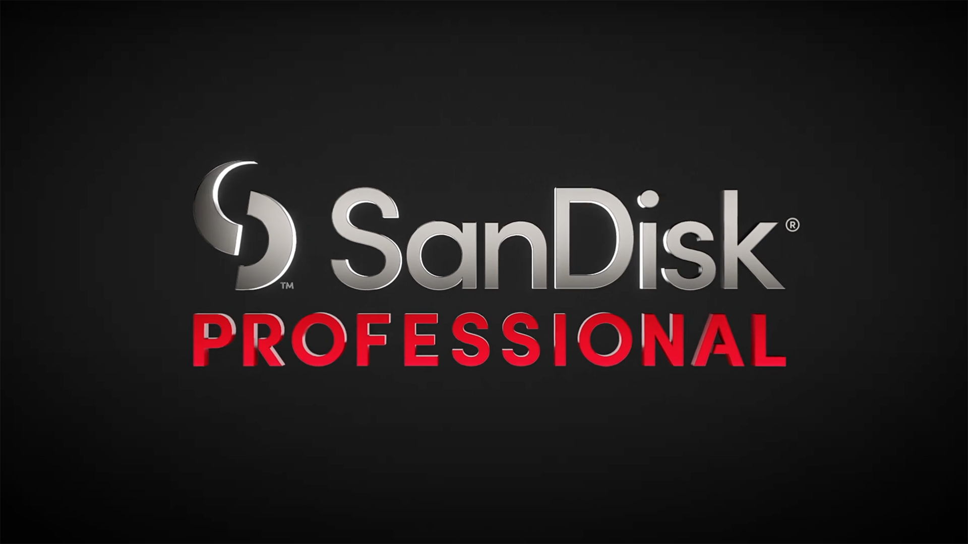 Detail Sandisk Logo Png Nomer 21