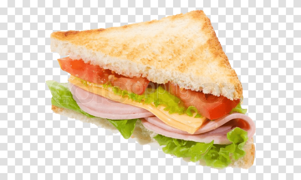 Detail Sandwich Transparent Nomer 7