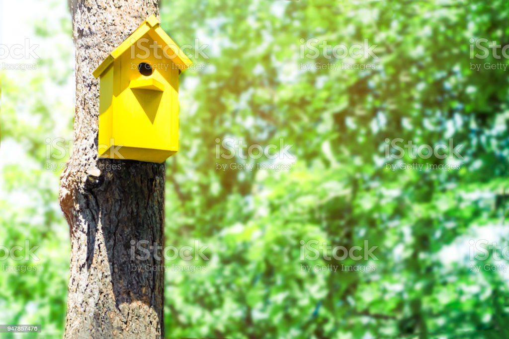 Detail Sangkar Burung Di Pohon Nomer 13