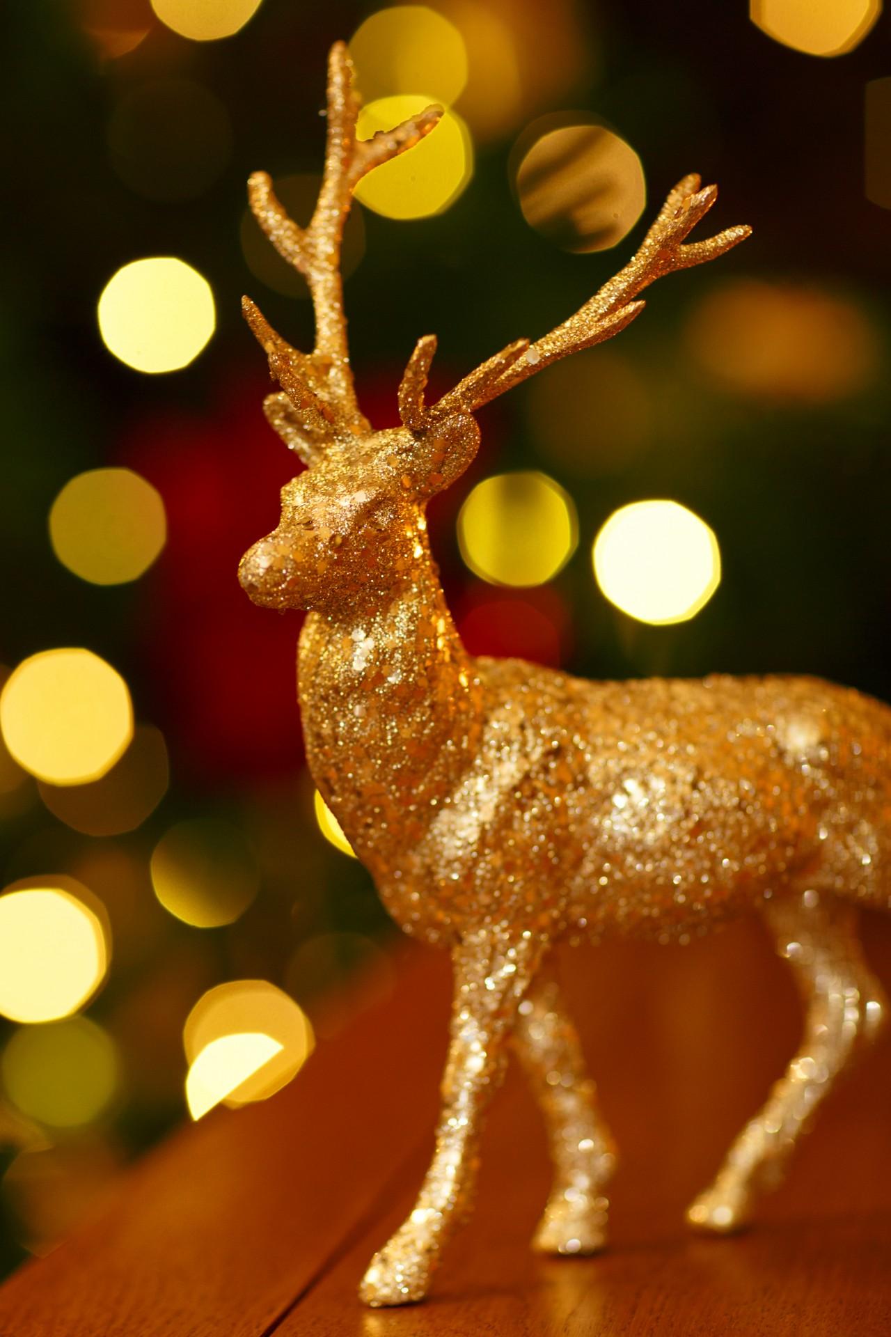 Detail Santa Claus Deer Names Nomer 33