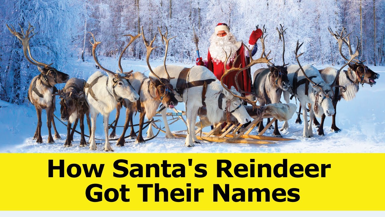 Detail Santa Claus Deer Names Nomer 44
