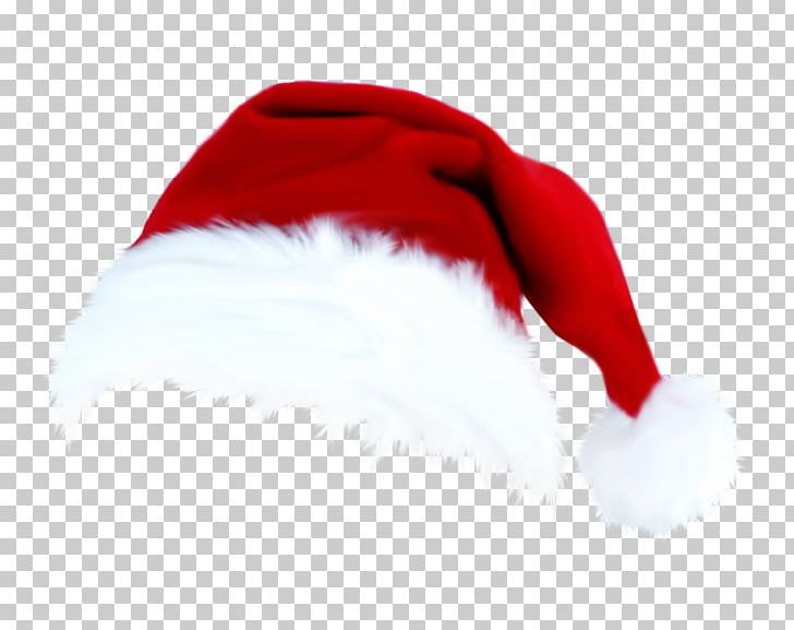 Detail Santa Claus Hat Nomer 31