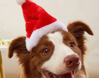 Detail Santa Claus Hats For Dogs Nomer 32