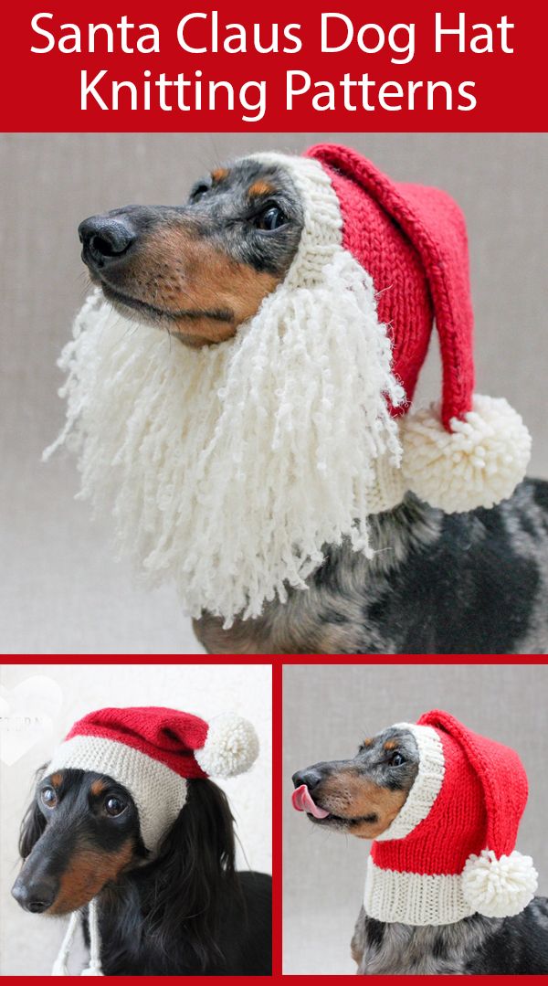 Detail Santa Claus Hats For Dogs Nomer 47