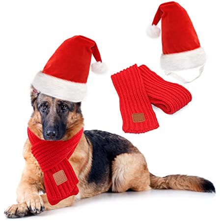 Detail Santa Claus Hats For Dogs Nomer 7
