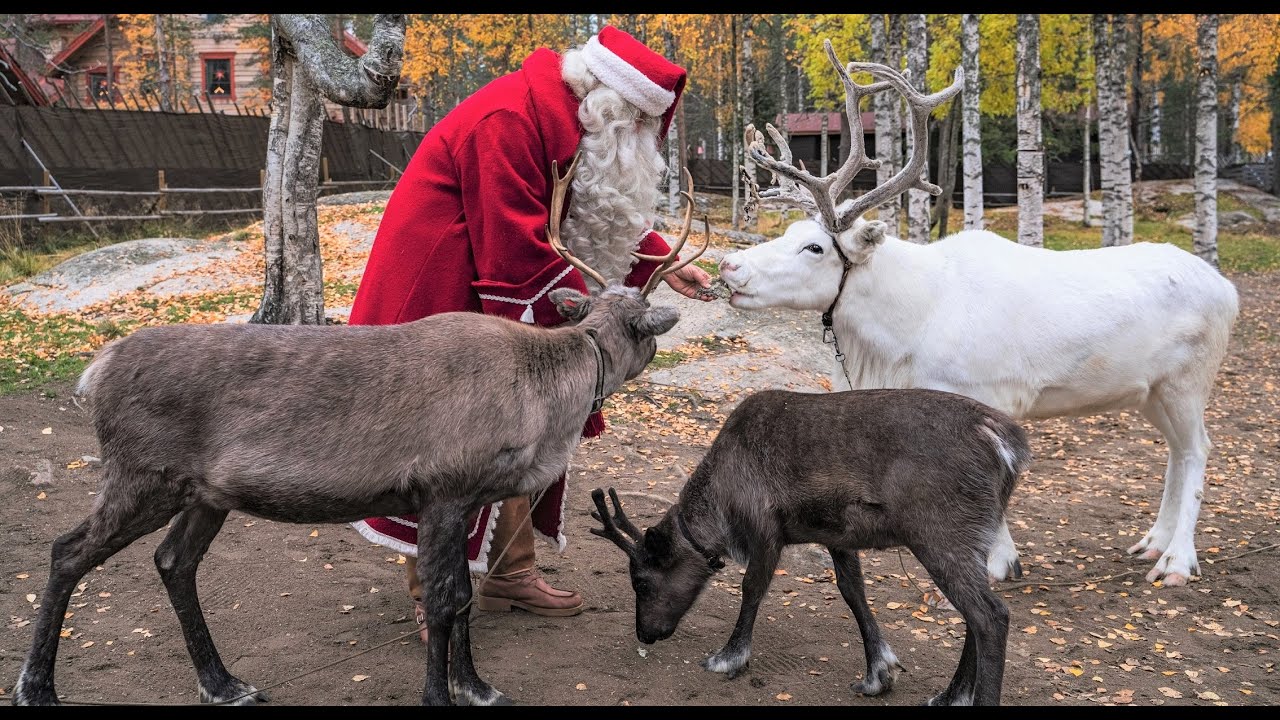 Detail Santa Claus Reindeer Picture Nomer 54