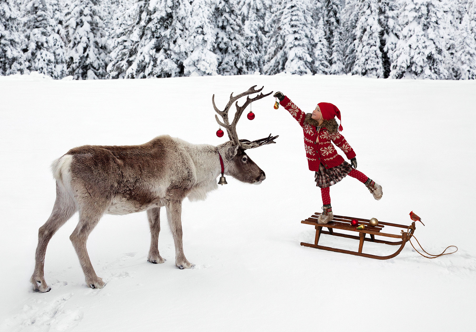 Detail Santa Claus Reindeer Pictures Nomer 25