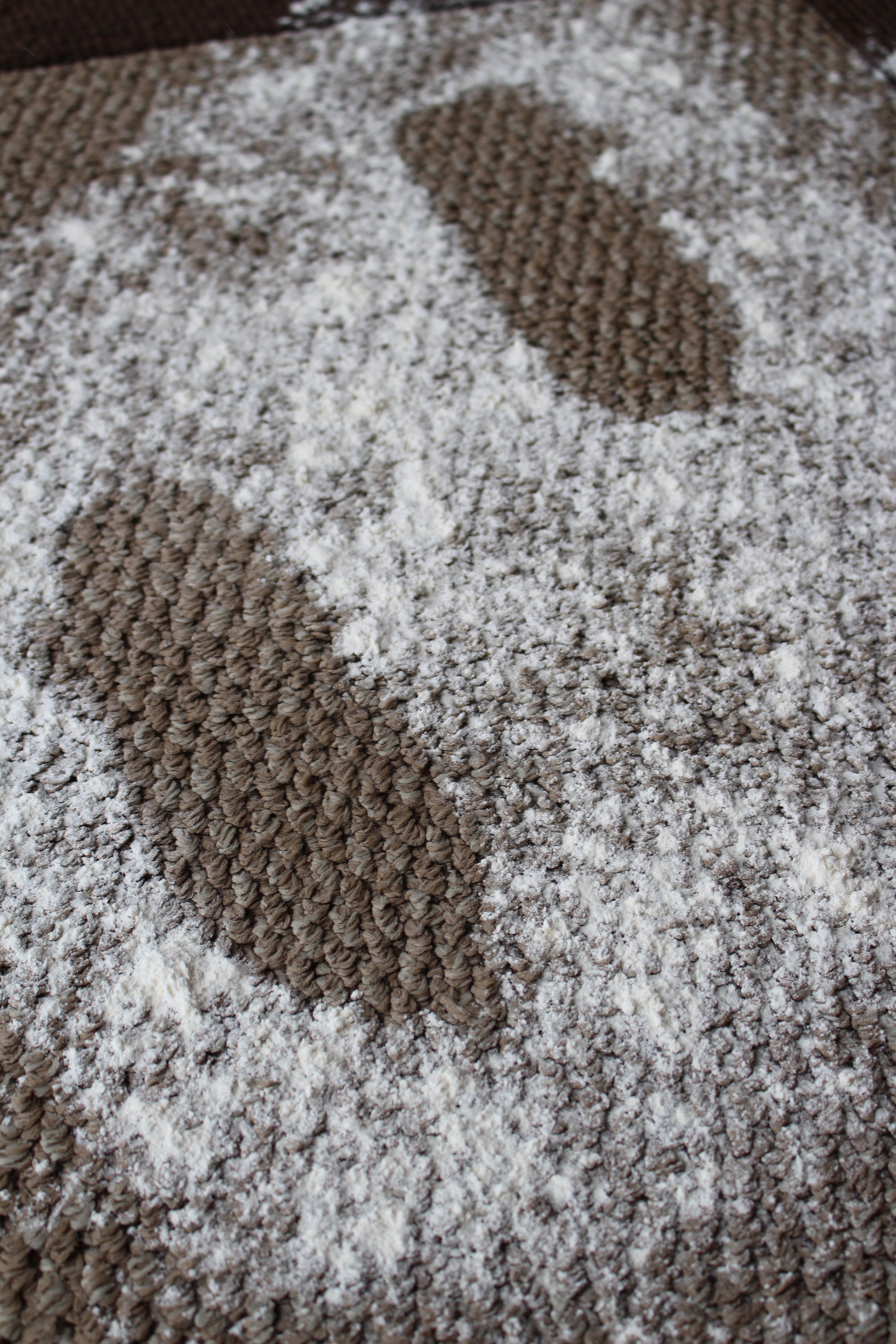Detail Santa Footprints On Carpet Nomer 19