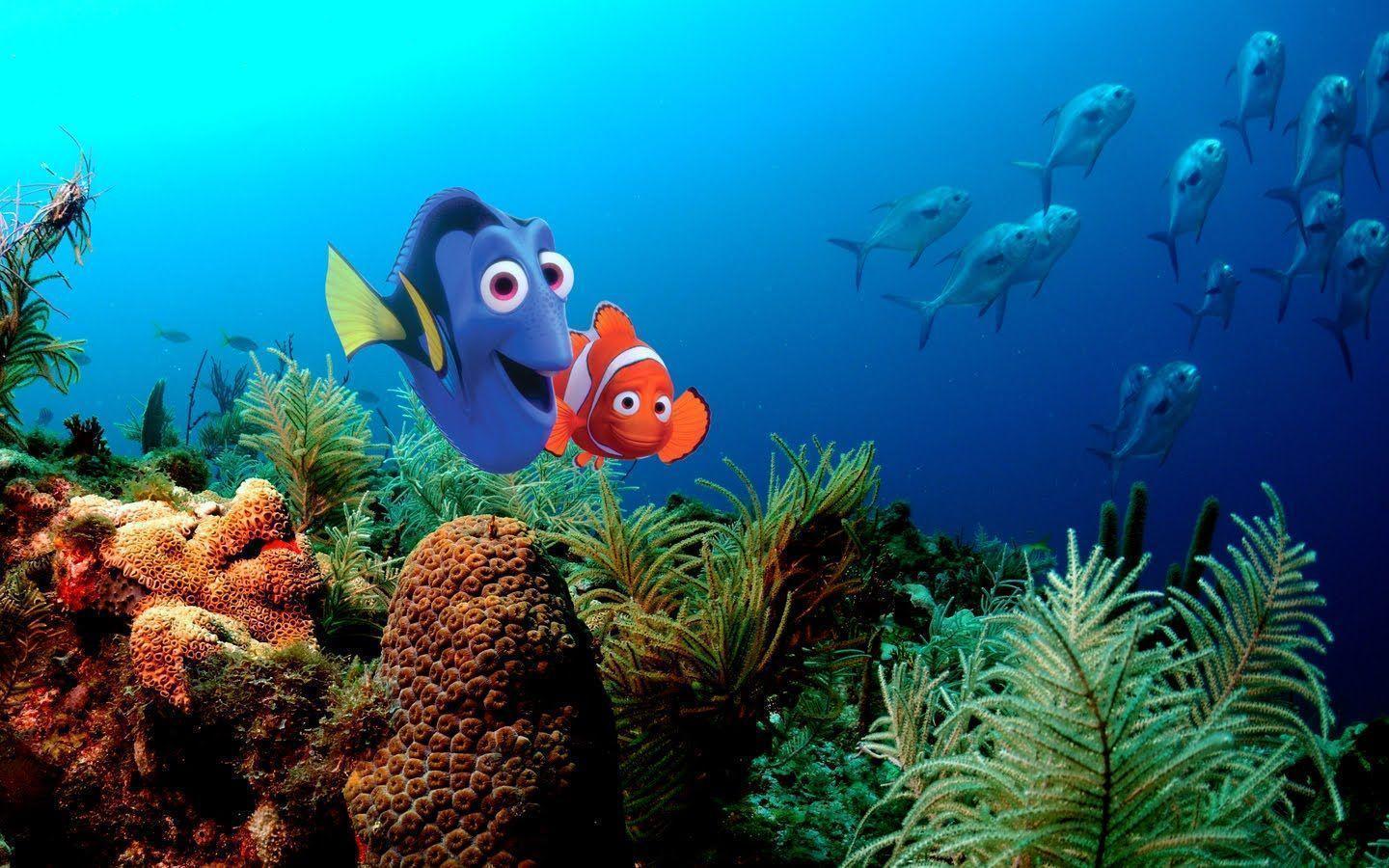 Detail Wallpaper Nemo Hd Nomer 12