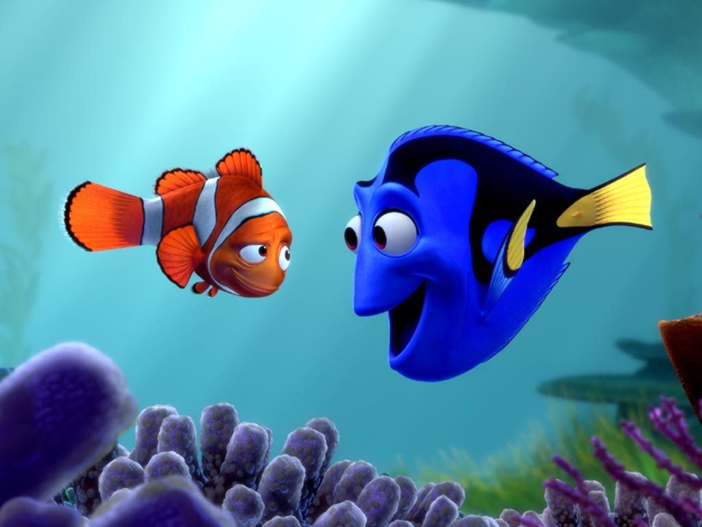 Detail Wallpaper Nemo Hd Nomer 19