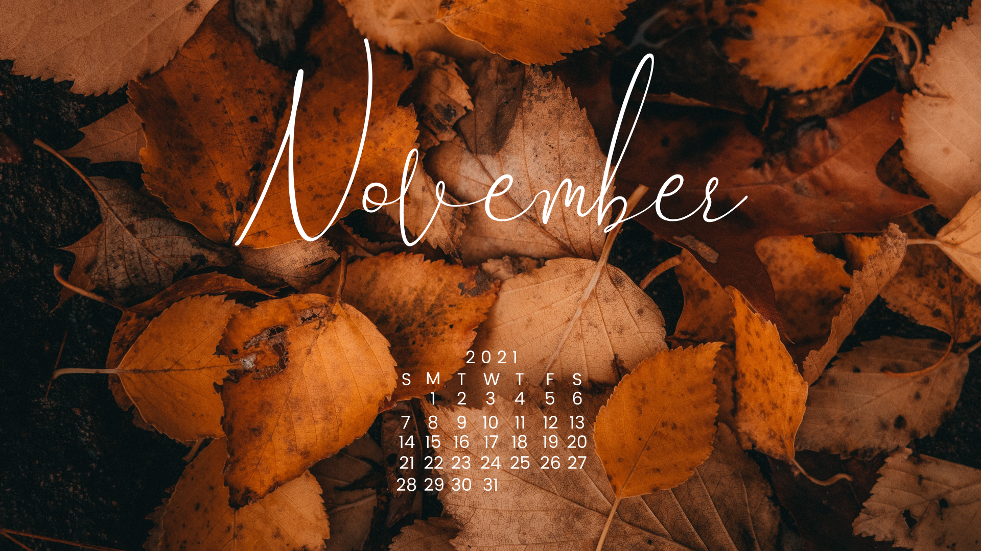 Detail Wallpaper November Nomer 14