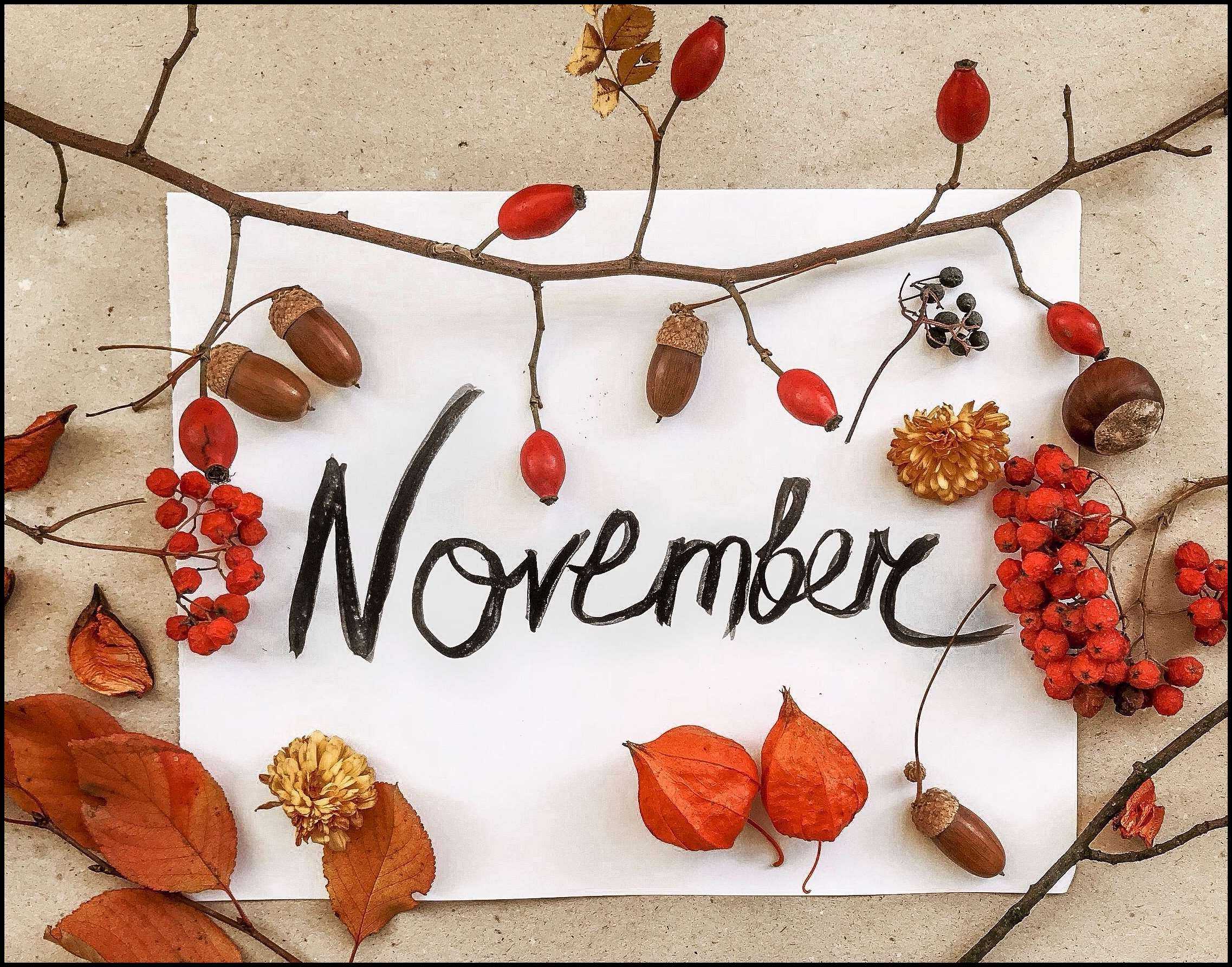 Detail Wallpaper November Nomer 45