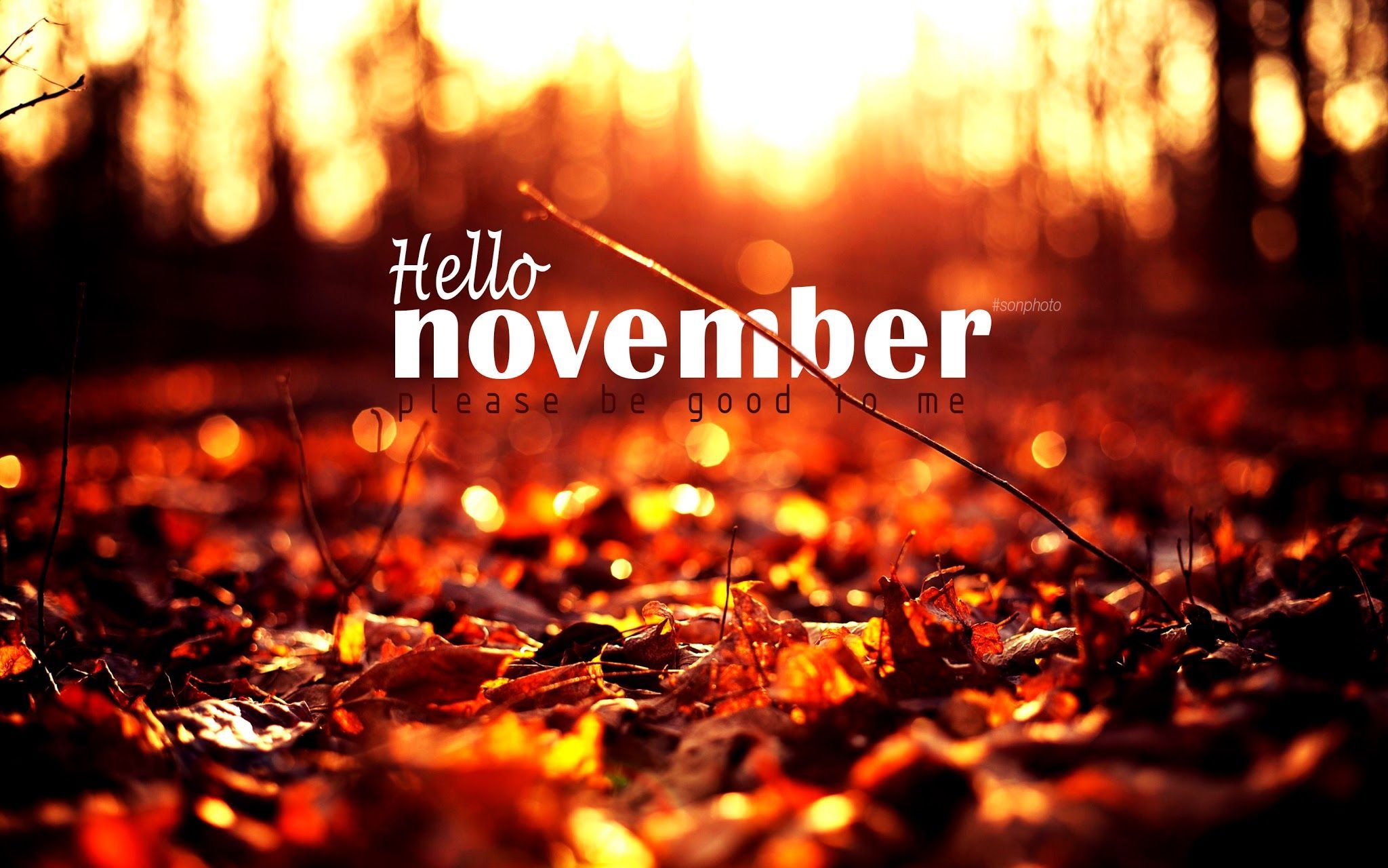 Detail Wallpaper November Nomer 9