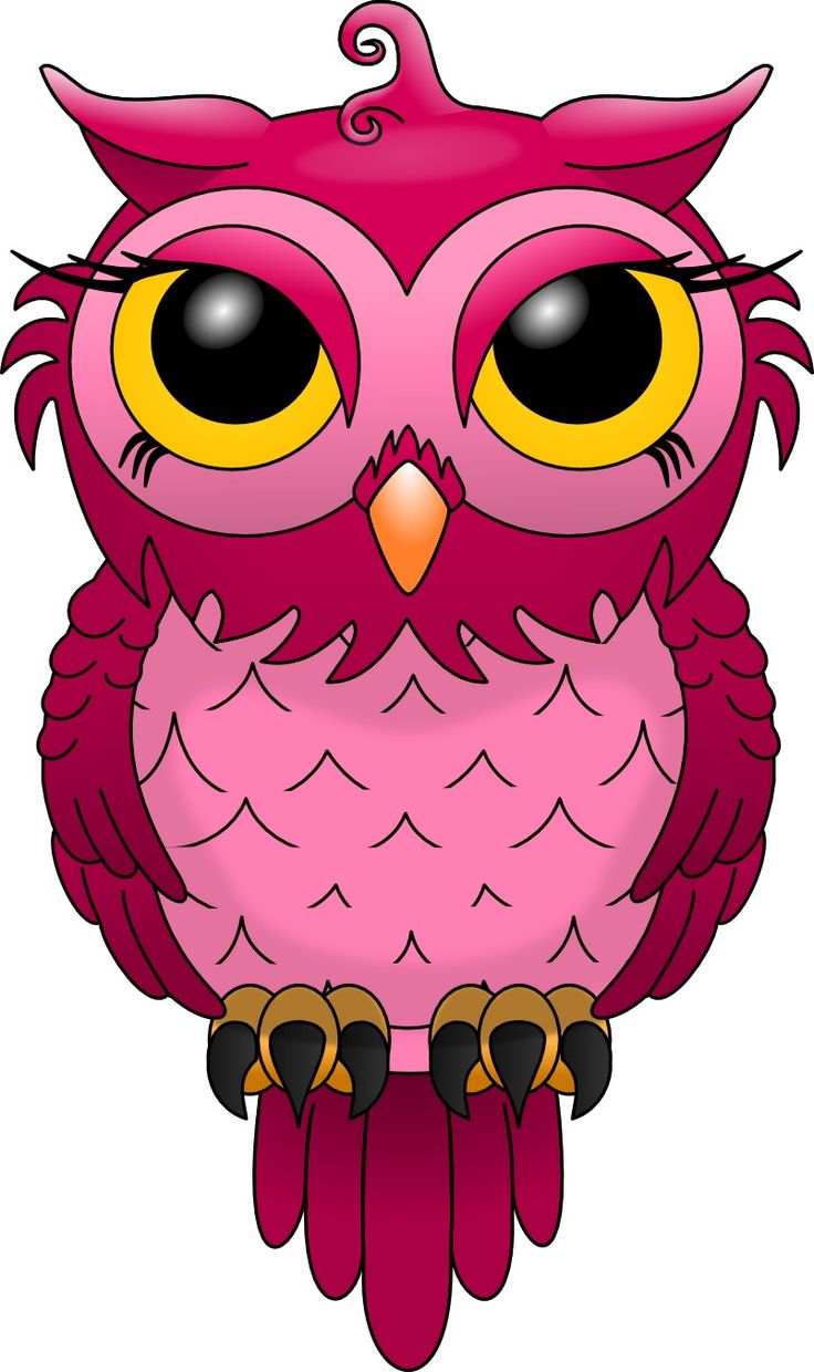 Detail Wallpaper Owl Pink Nomer 15