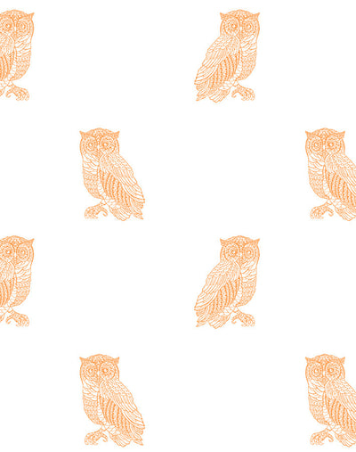 Detail Wallpaper Owl Pink Nomer 18