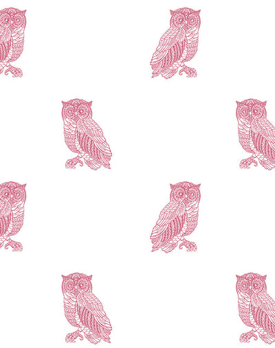 Detail Wallpaper Owl Pink Nomer 41